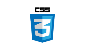 CSS Logo